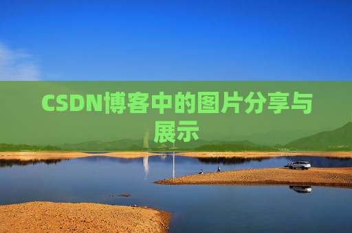 CSDN博客中的图片分享与展示
