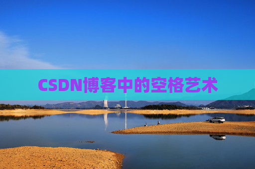 CSDN博客中的空格艺术